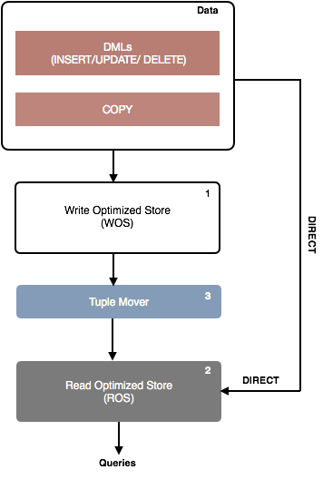 Vertica Data Storage Model